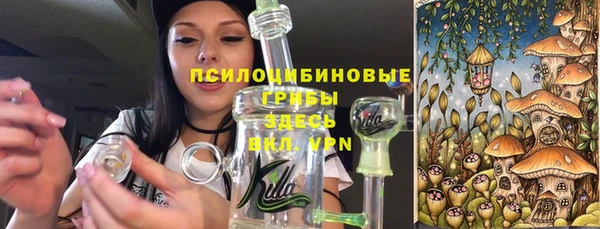 ПСИЛОЦИБИНОВЫЕ ГРИБЫ Алексин