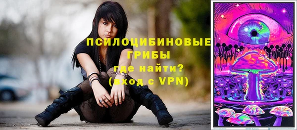 прущие крисы Алексеевка