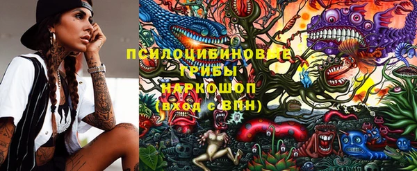 прущие крисы Алексеевка