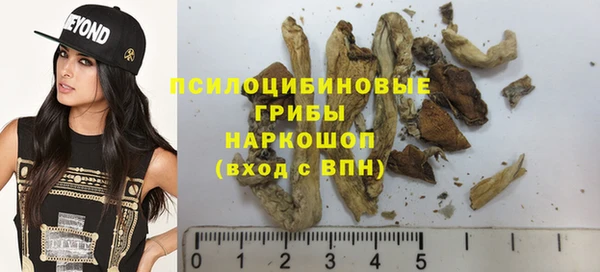 ПСИЛОЦИБИНОВЫЕ ГРИБЫ Алексин